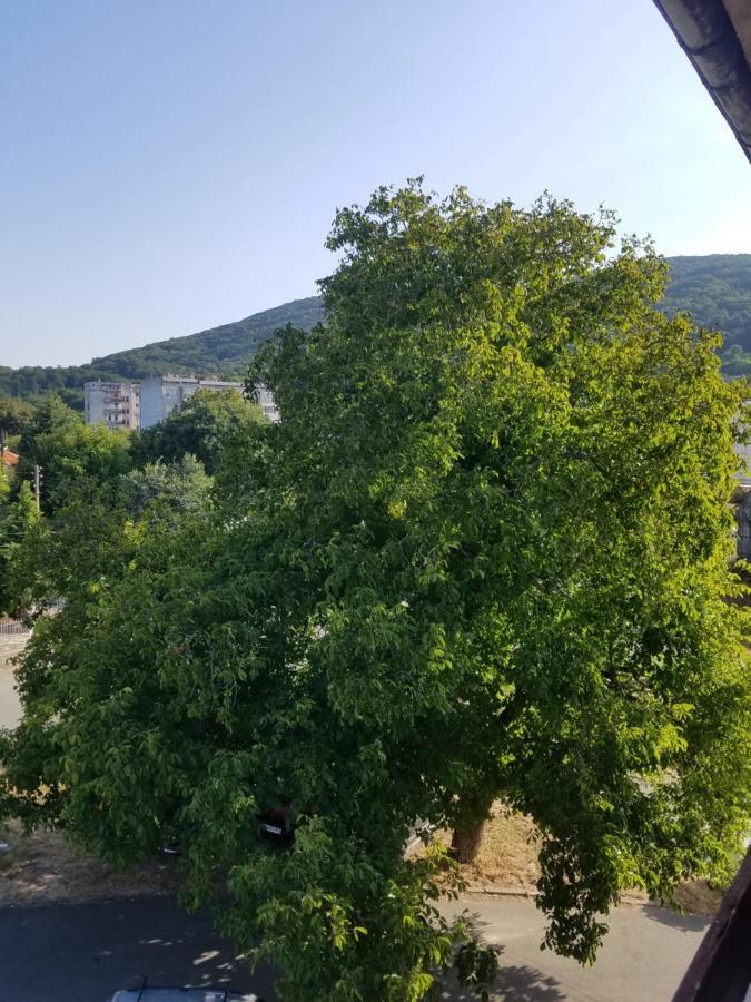 Retro Apartment Malko Tŭrnovo 外观 照片